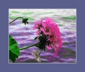 zytram XL image healthtips images